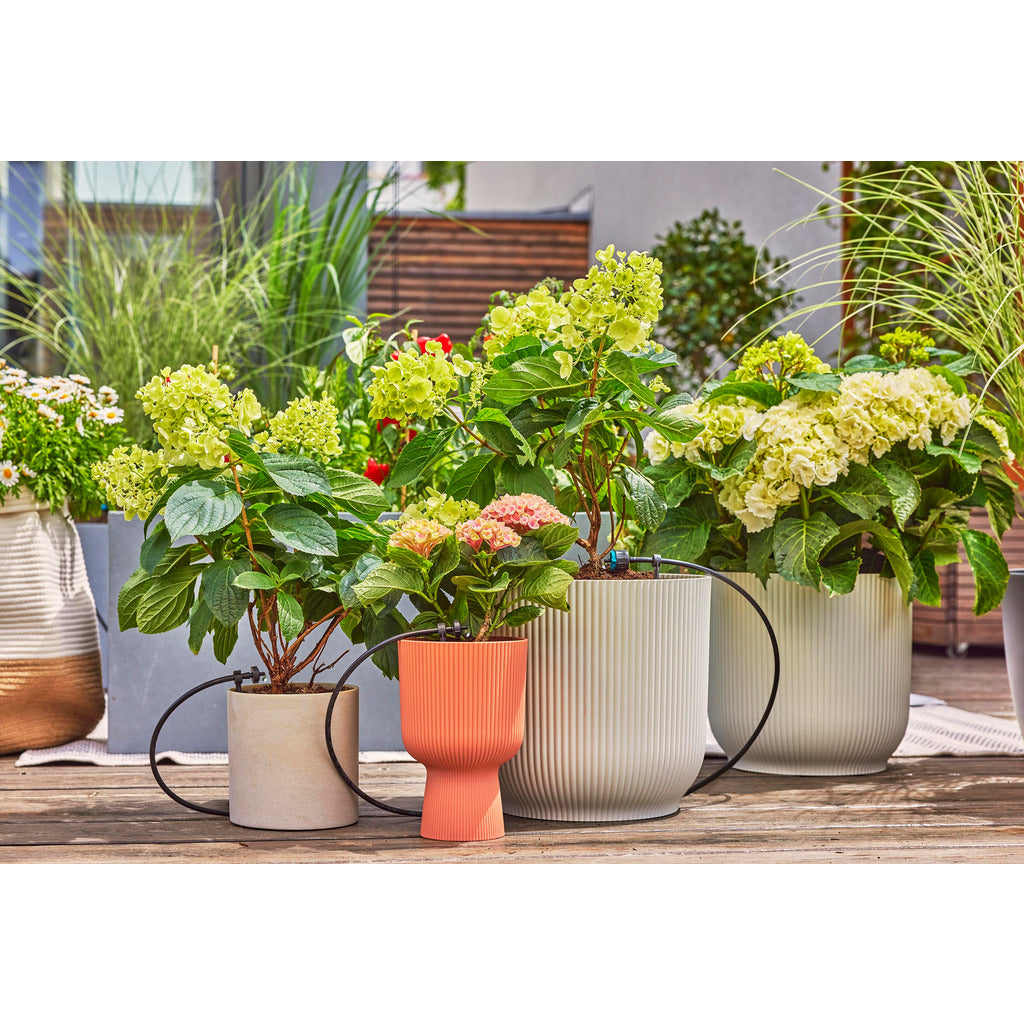 Gocciolatore terminale 2 l/h / regolazione della pressione