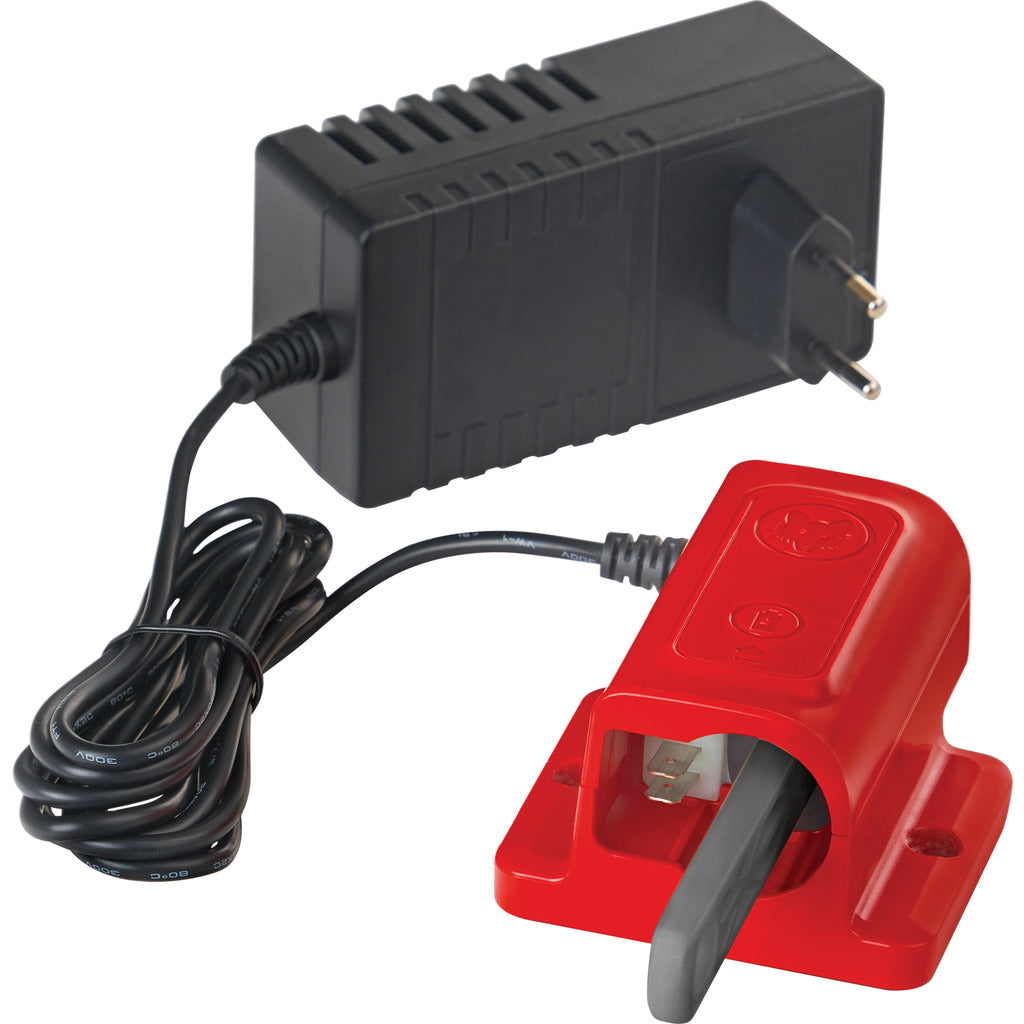 e-multi-star™ wall charging station