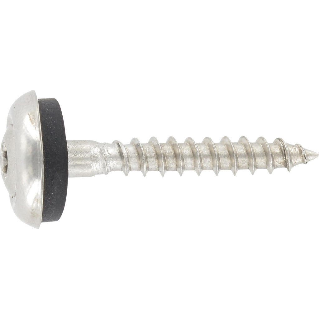 Plumber's screw A2 Torx 3 pieces