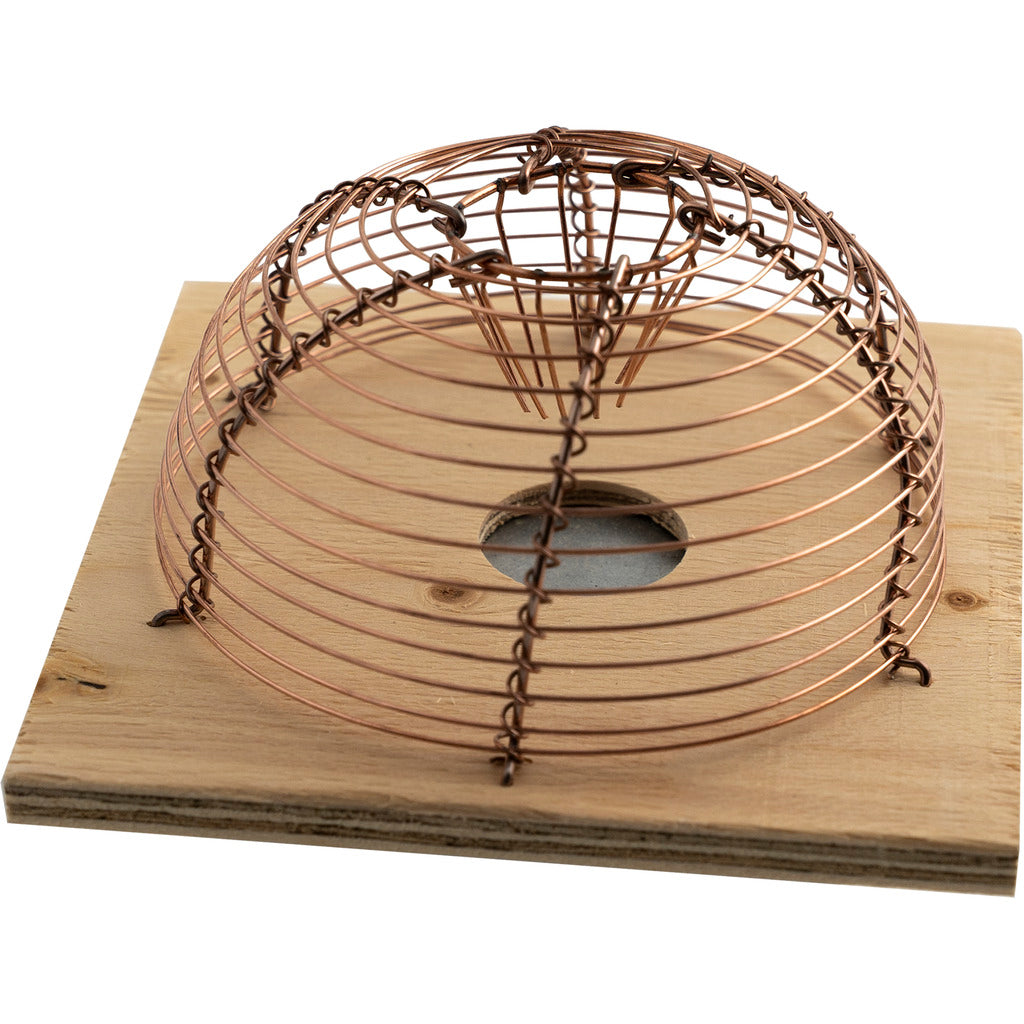 Basket mousetrap