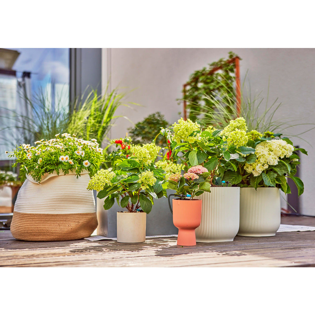 Set di irrigazione a goccia / terrazza