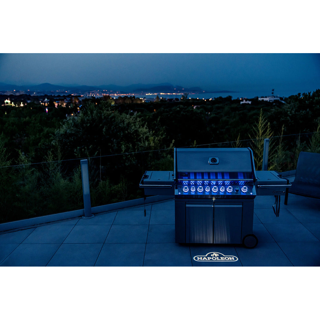 Napoleon Gasgriller Prestige PRO™ 665