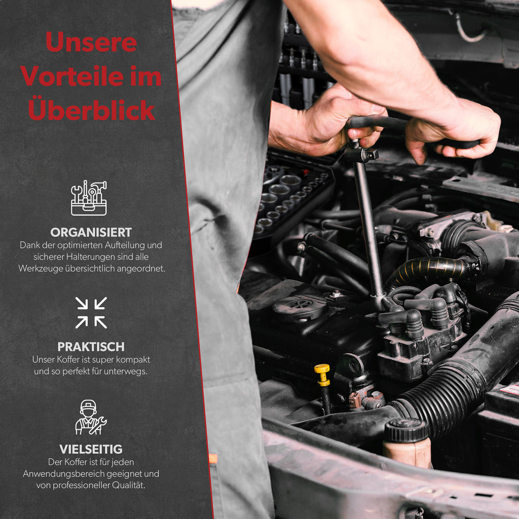 Siwitec socket wrench set / 171 pieces