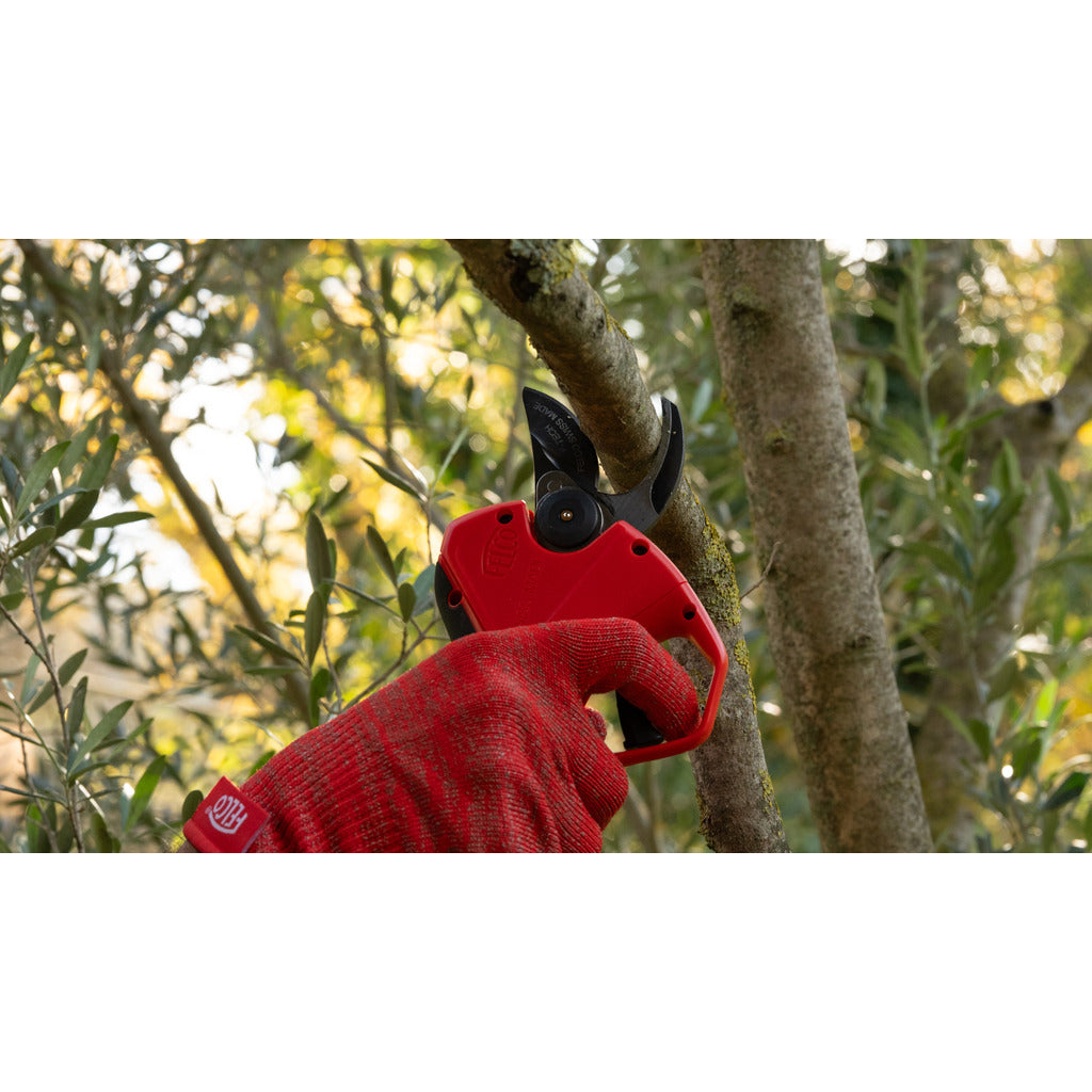 Akku Baum-, Rebschere FELCO F2e / mit Akku und Powerpack