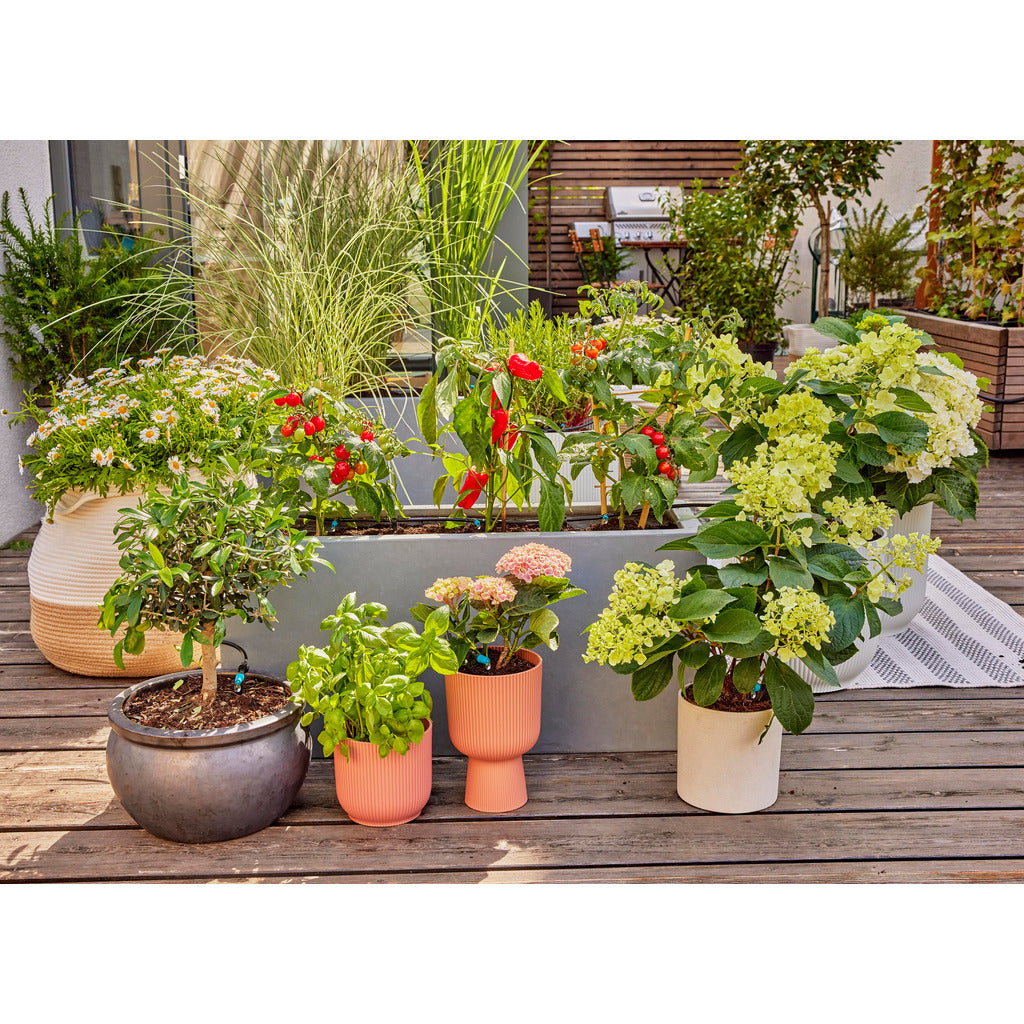 Set di irrigazione a goccia / terrazza