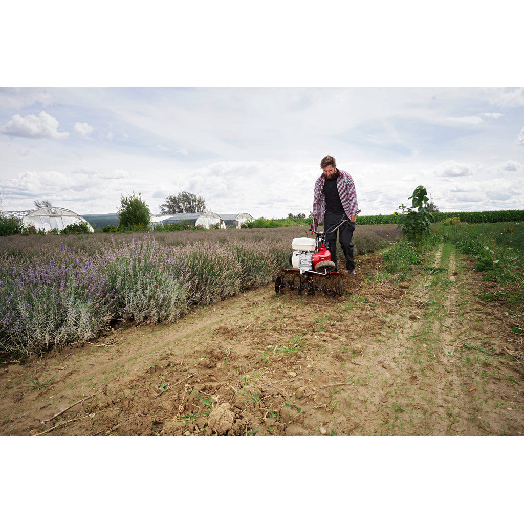 solo by AL-KO petrol motor hoe Comfort pro 7505 VR