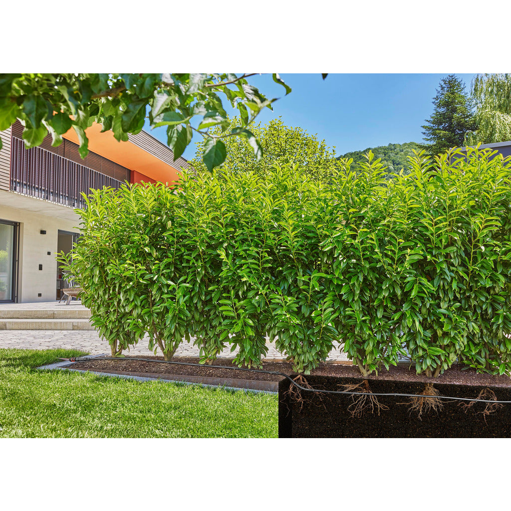 Drip pipe for above-ground and underground installation