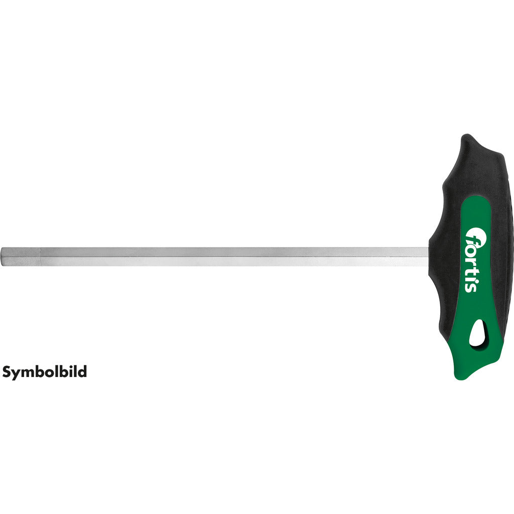 Hexagon screwdriver with T-handle