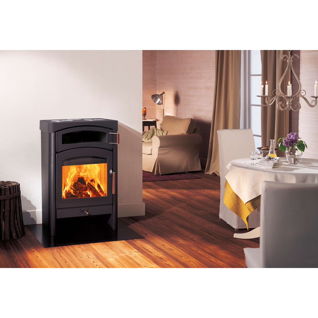 Austroflamm Kaminofen Pallas Back