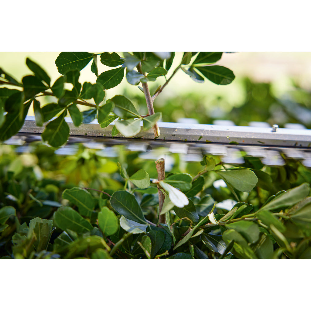 Stihl Akku-Heckenschere HSA 40 / mit 2 Akkus und Ladegerät