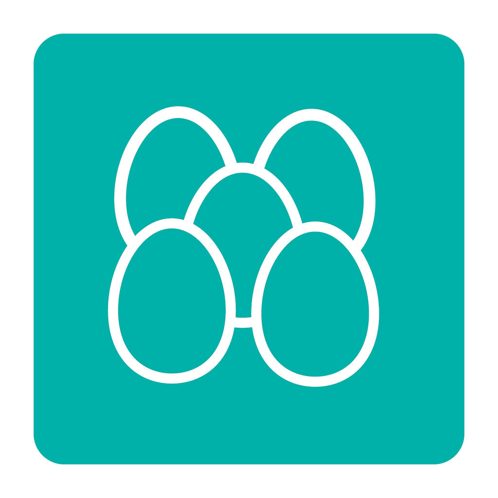 Frigorifero da incasso con vano congelatore G600 NRKI517E61WF