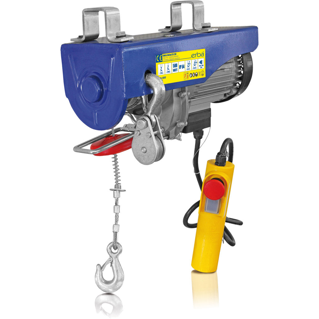 Electric rope hoist with pulley