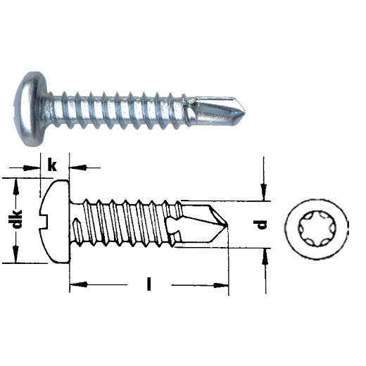 Bohrschraube Linsenkopf mit Torx verzinkt