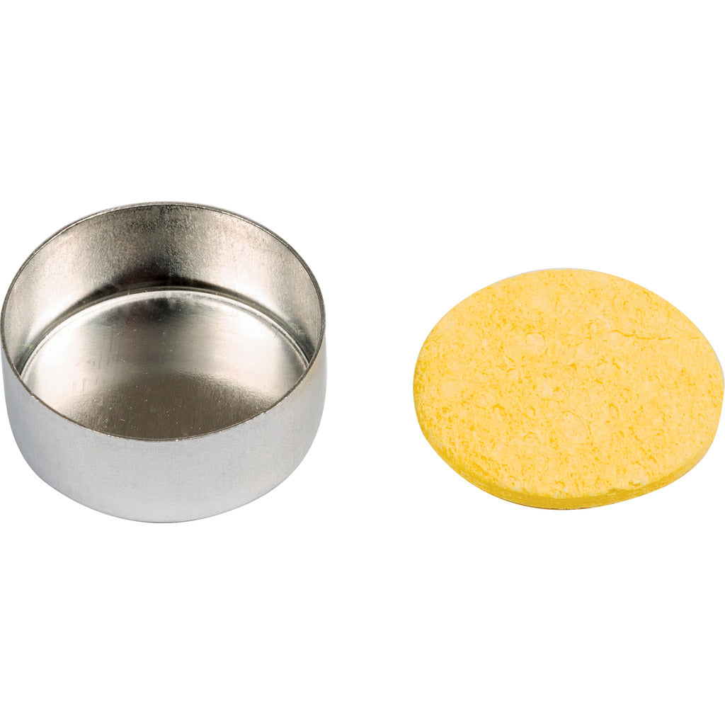 Sponge container with cleaning sponge