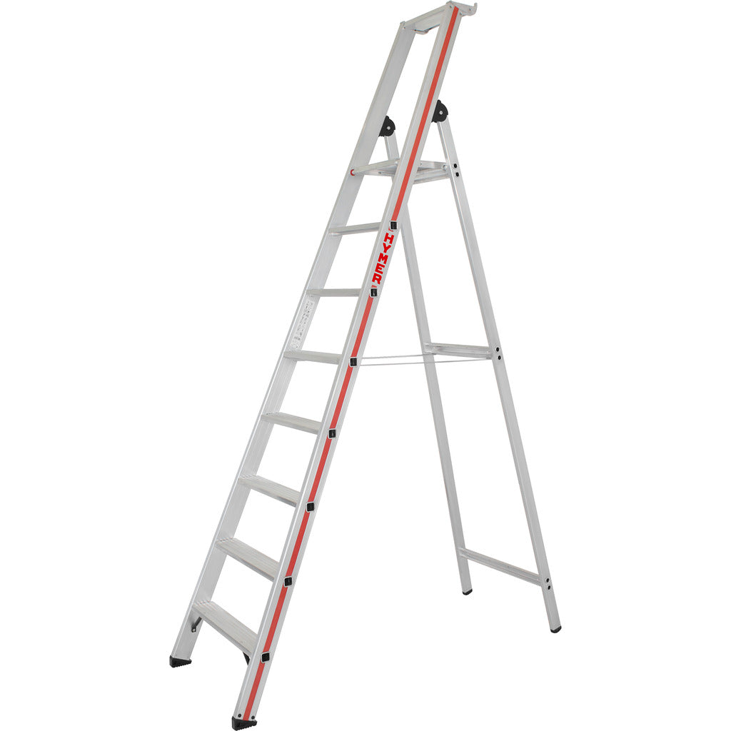 Scala a pioli con piattaforma 8026