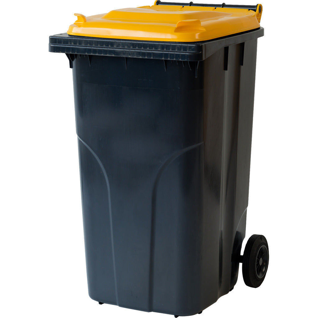Abfall- und Wertstoffsammelbehälter / 2-Rad Container (F)