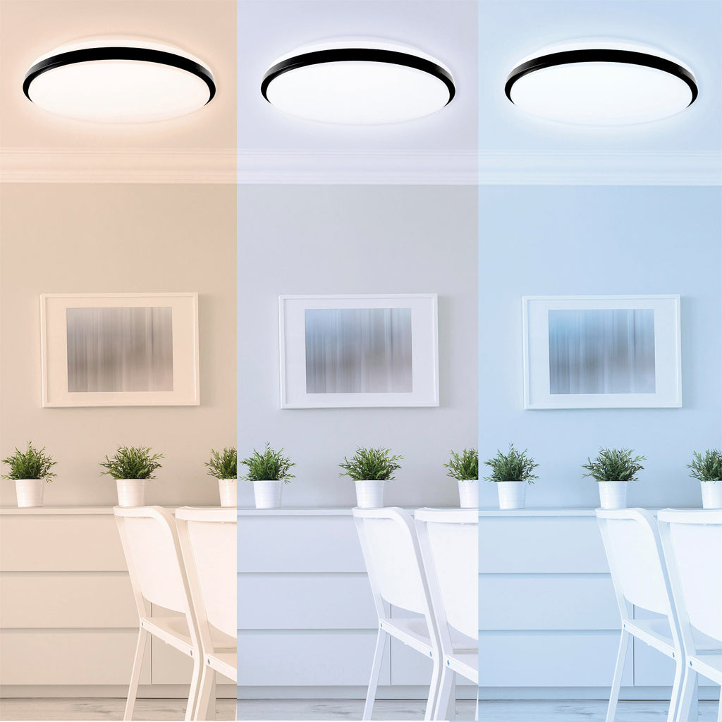LED wall and ceiling lights Taro