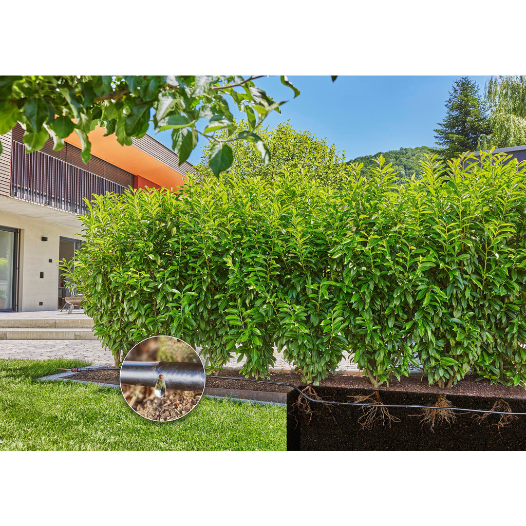 Set di irrigazione a goccia / siepe - arbusti (25 m)