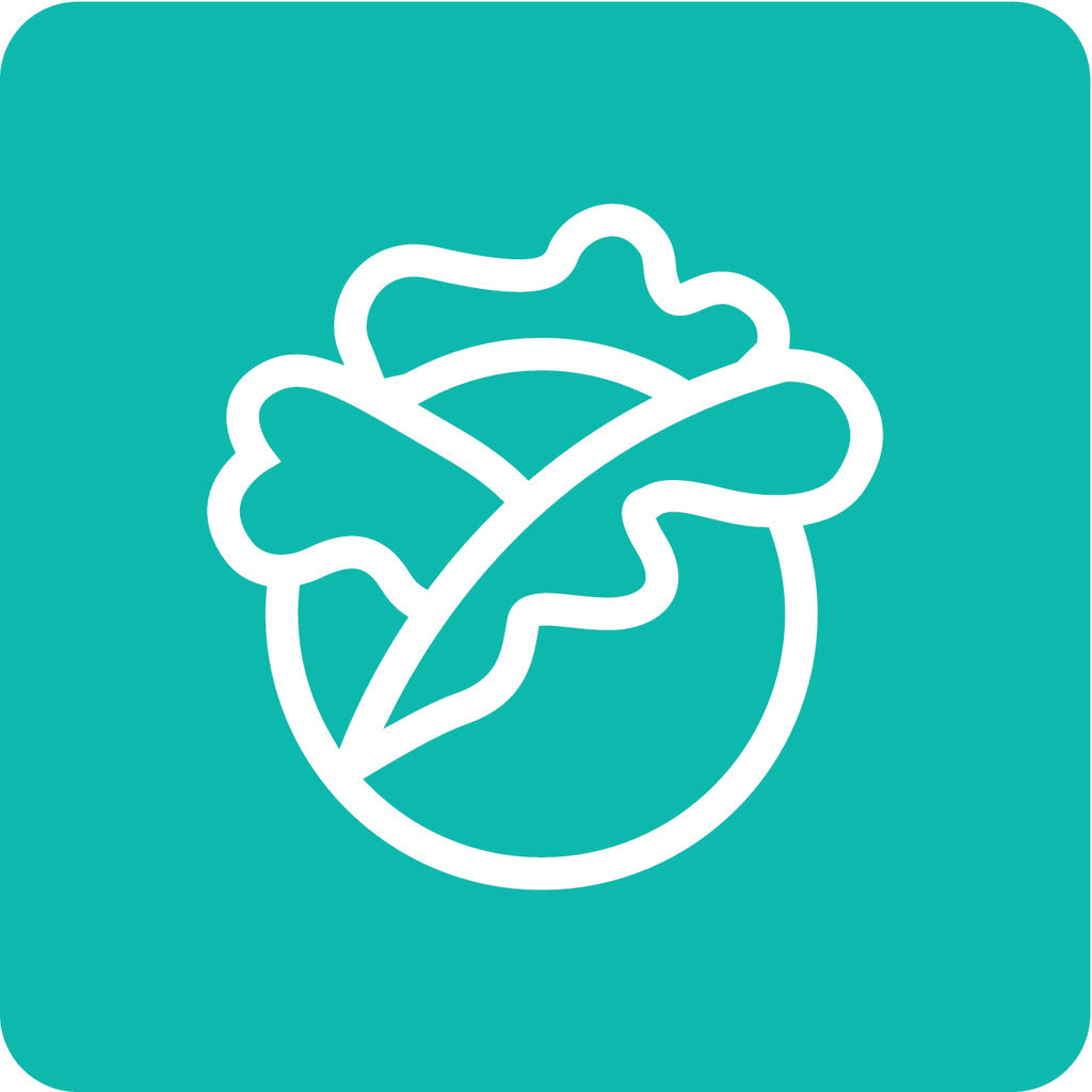 Freestanding refrigerator without freezer compartment R49CPW