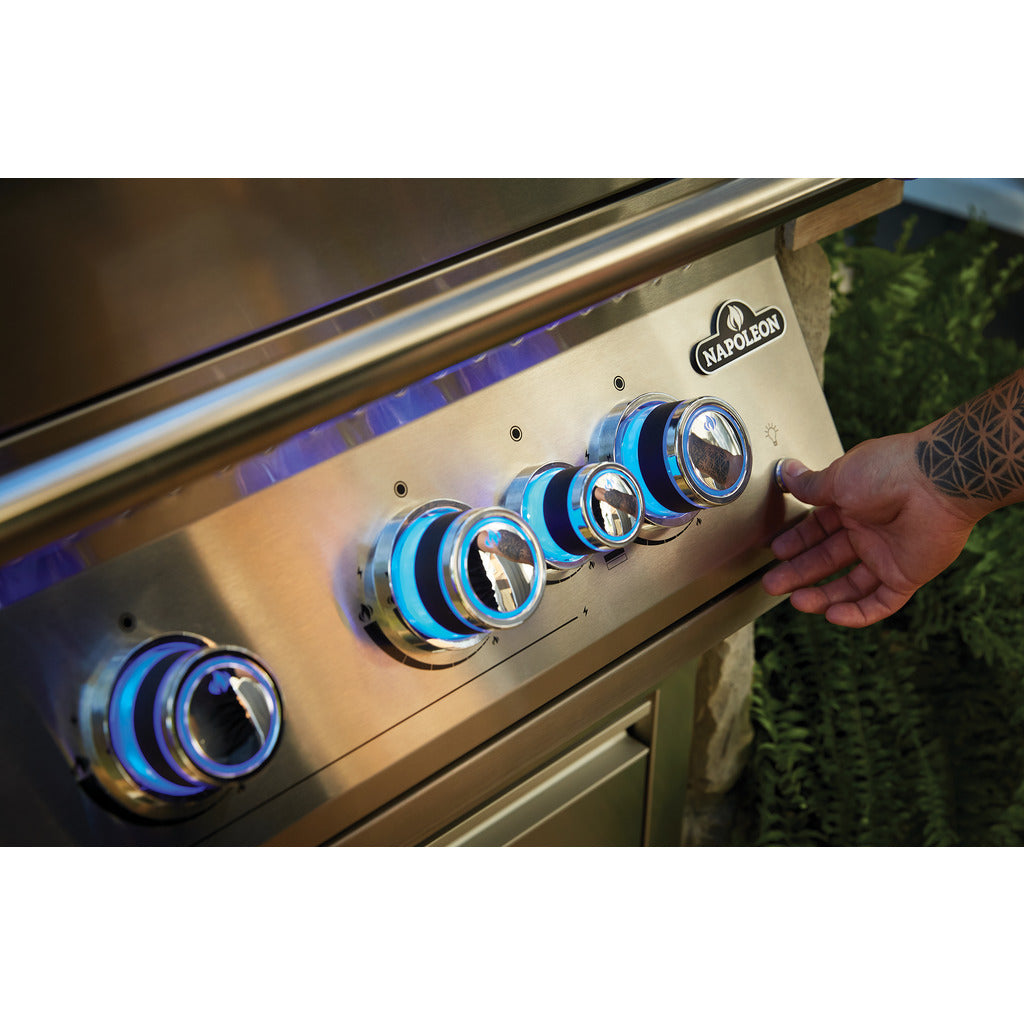 Barbecue a gas da incasso Napoleon BIG32 / Serie 700