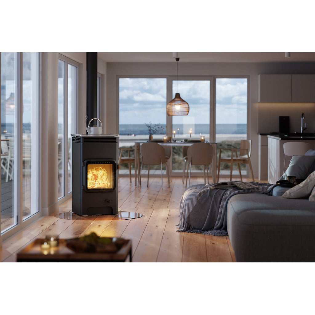 Austroflamm fireplace stove Luca Cook
