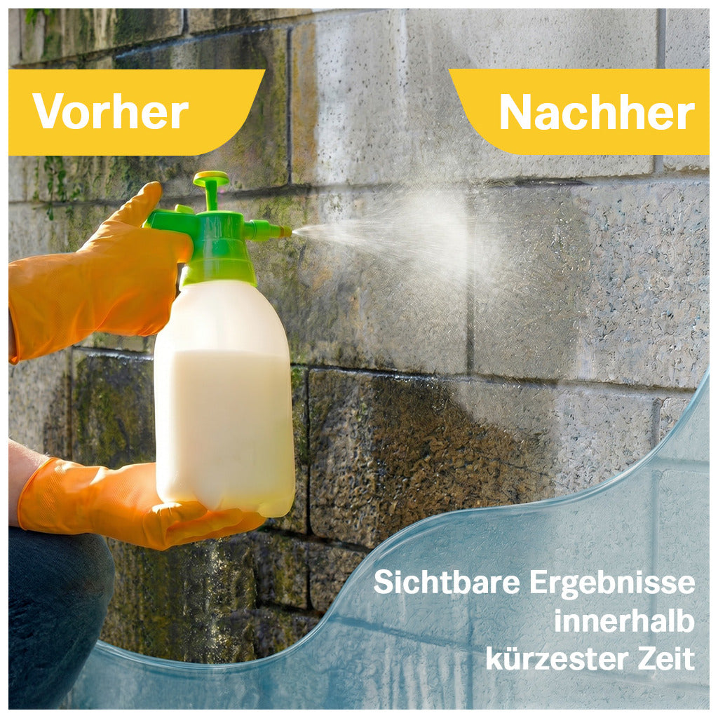 Schmidt's Grünbelagentferner