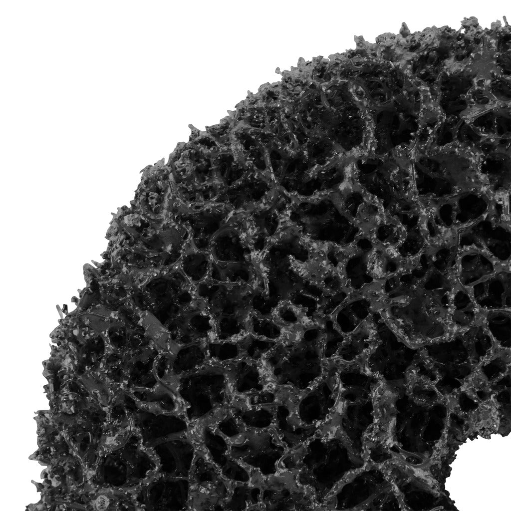 Coarse cleaning disc CG-DC