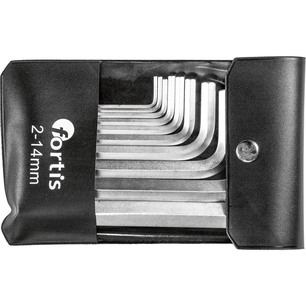 Set di chiavi a brugola in custodia di plastica / 10 pezzi