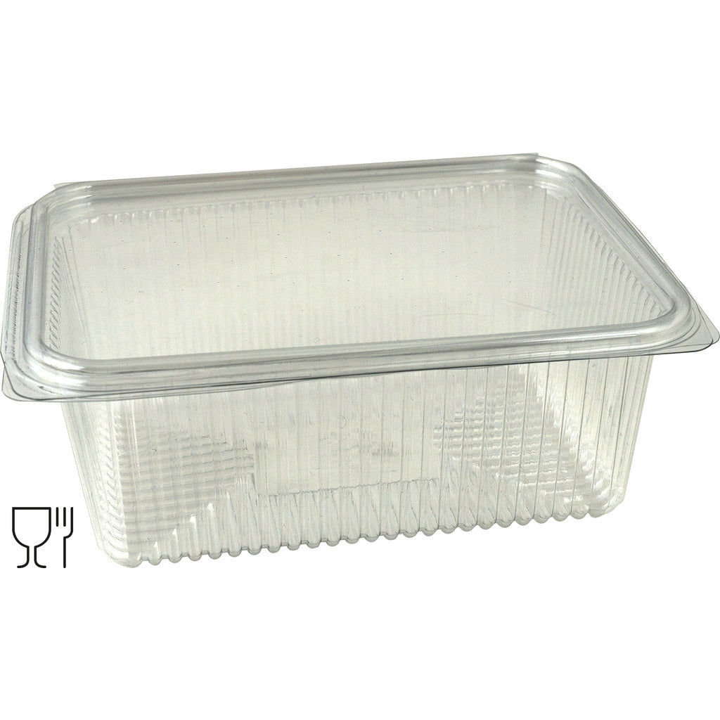 Square food container with hinged lid