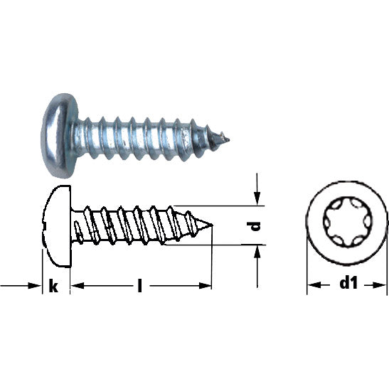 Self-tapping screw, lens head, Torx 25