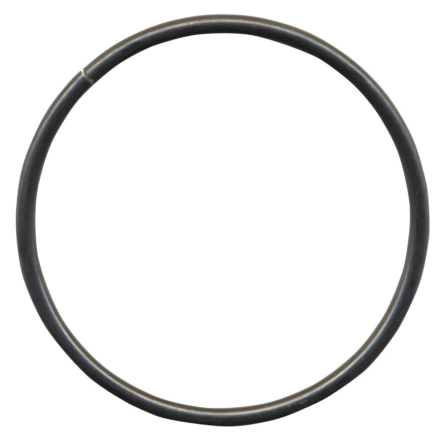 Ring spring