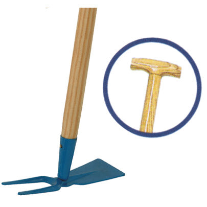 Zecche per bambini