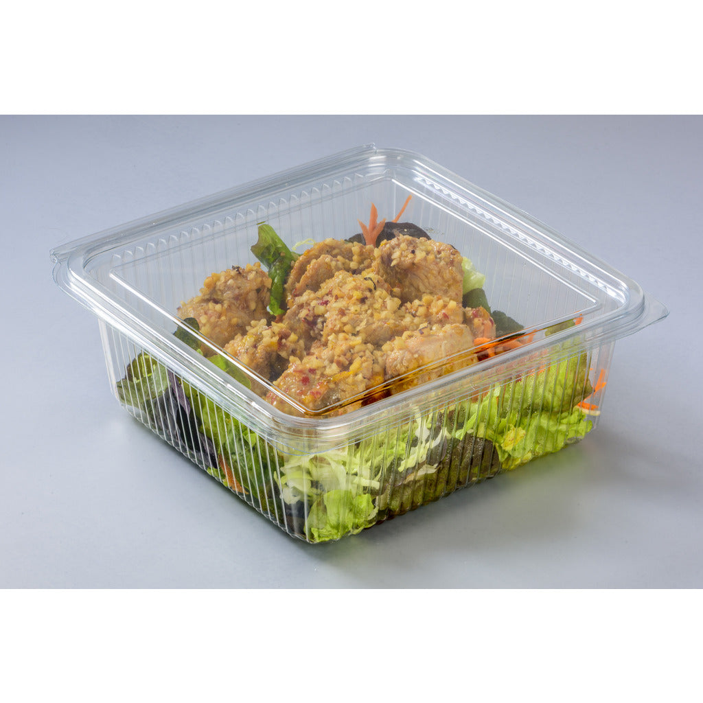Square food container with hinged lid
