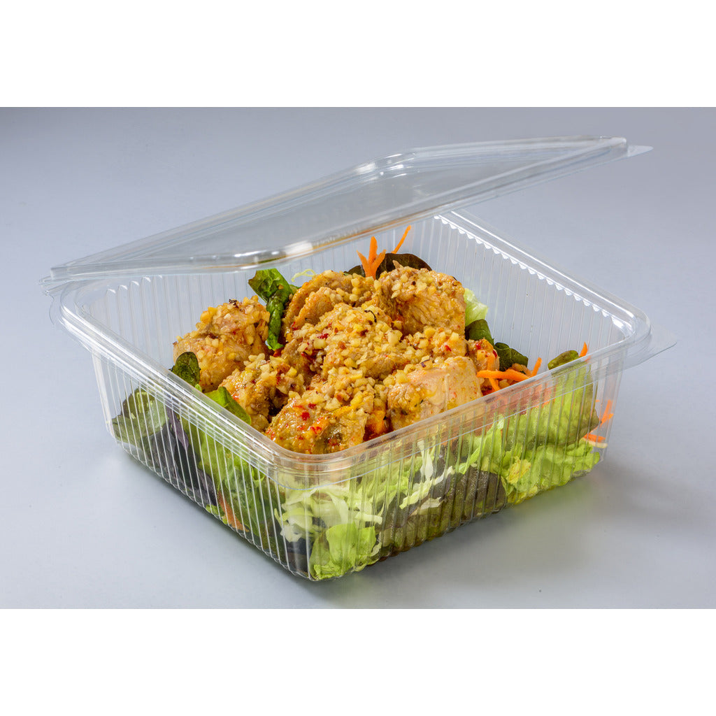 Square food container with hinged lid