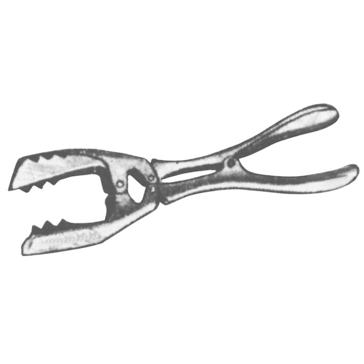 Briquette tongs
