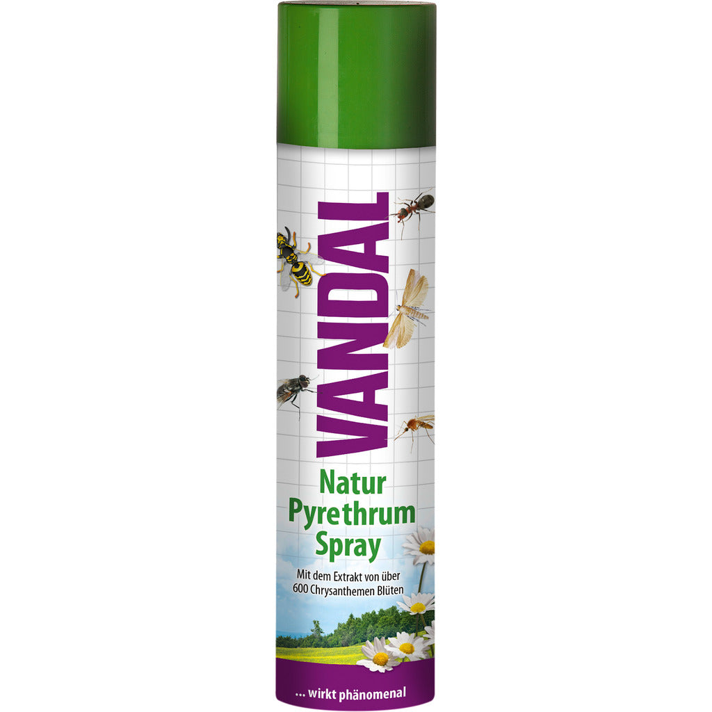 Natur Pyrethrum Insektenspray