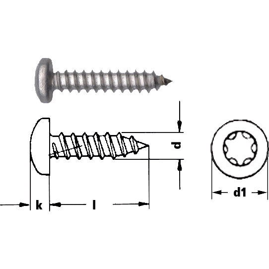 Self-tapping screw, lens head, Torx 25