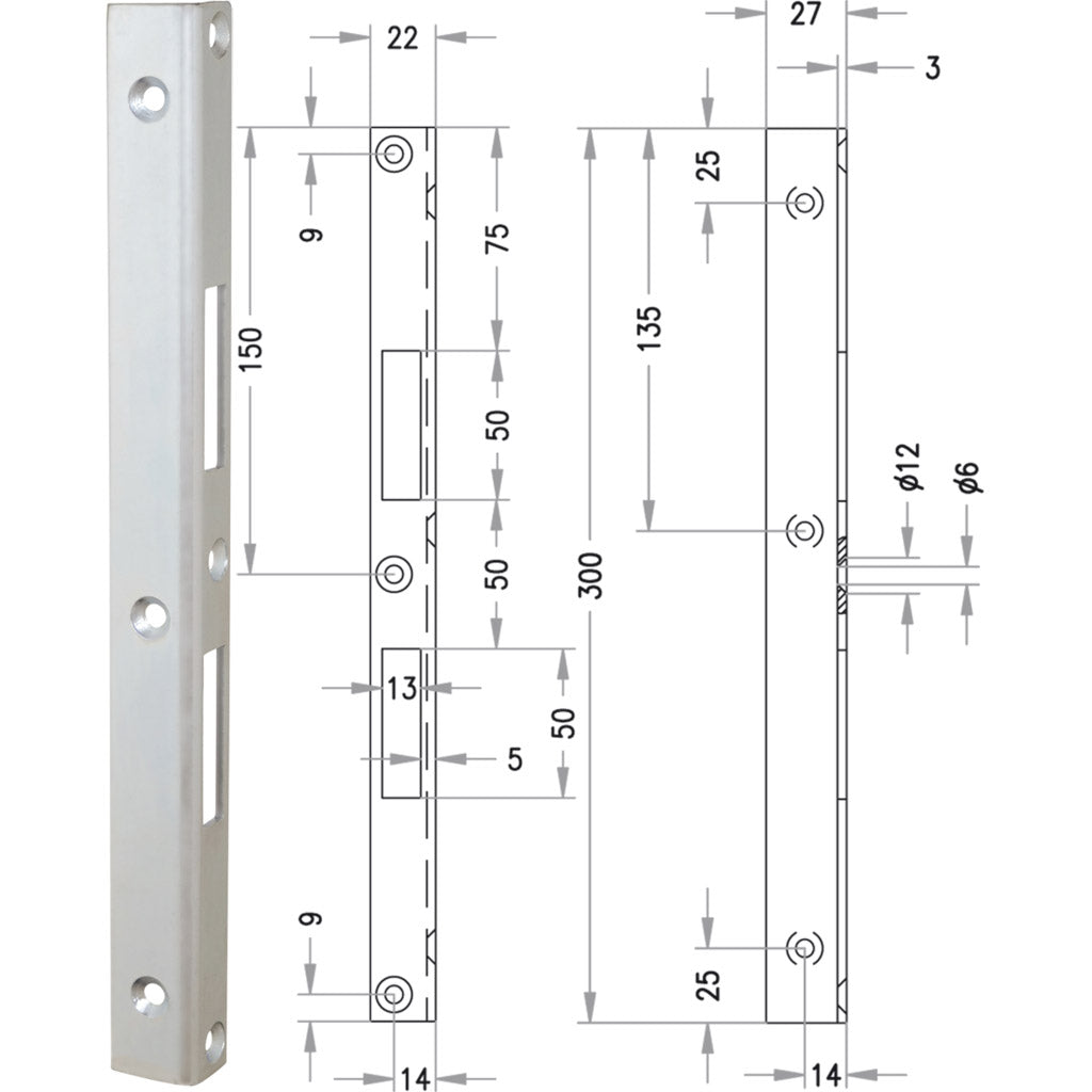 Security strike plate SSB