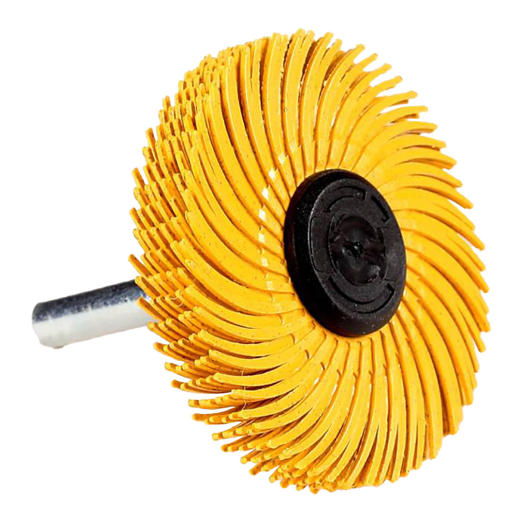 Bristle Radiale Bürste