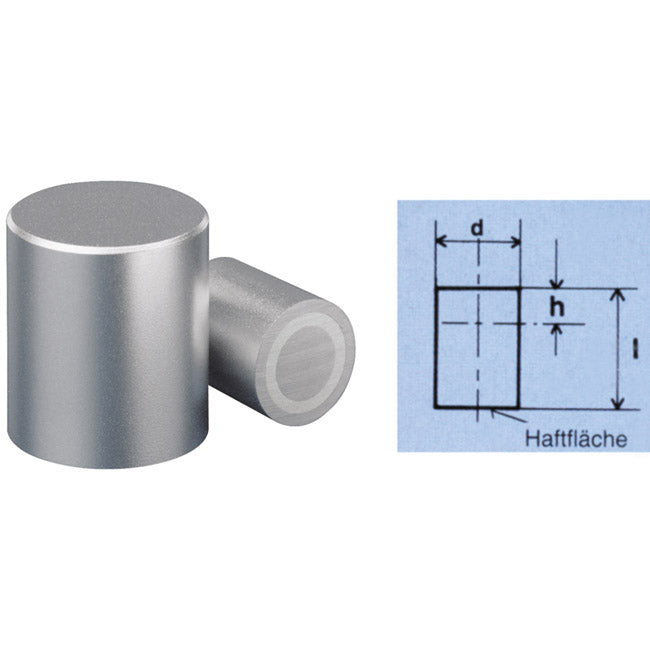 Magnetic rod gripper