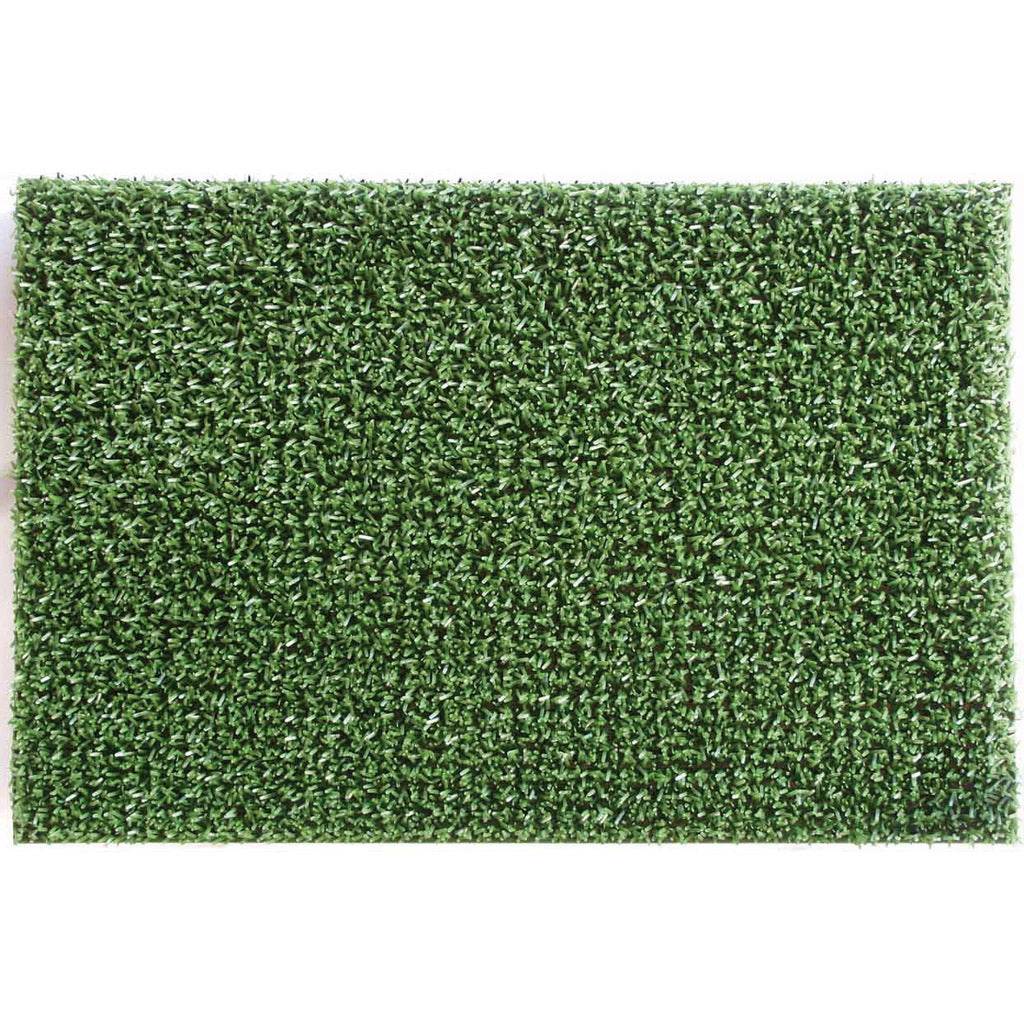 Astroturf Doorbutler lawn mat