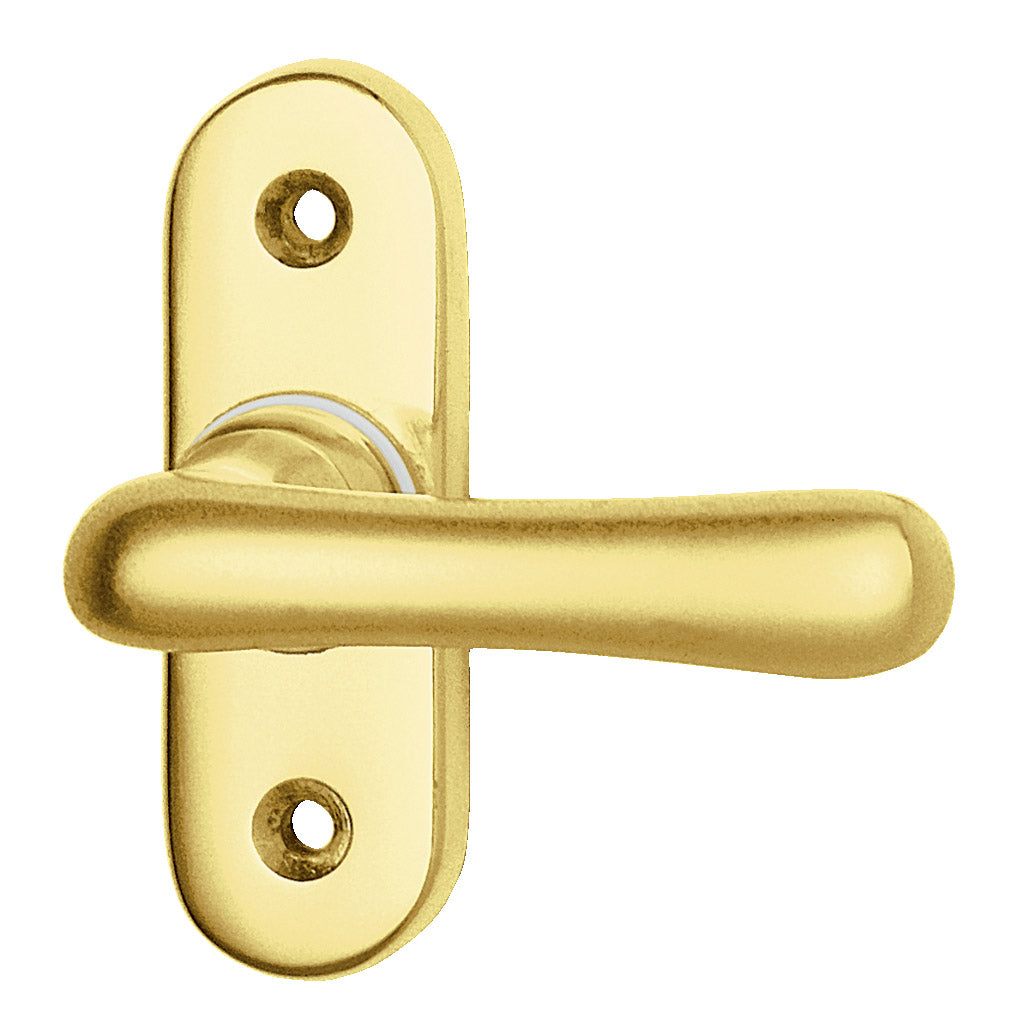 Half olive 504 Elegant