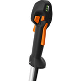 Stihl Akku-Motorsense FSA 250 / ohne Akku und Ladegerät