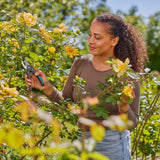 Gardena secateurs PremiumCut Flex