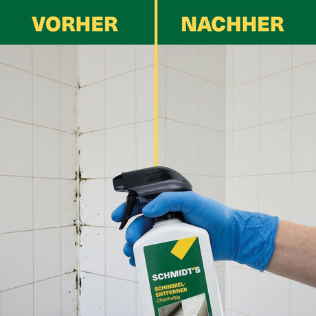 SCHMIDT'S Schimmelentferner