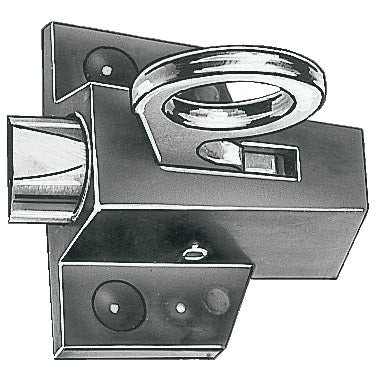 Oberlichtschnäpper