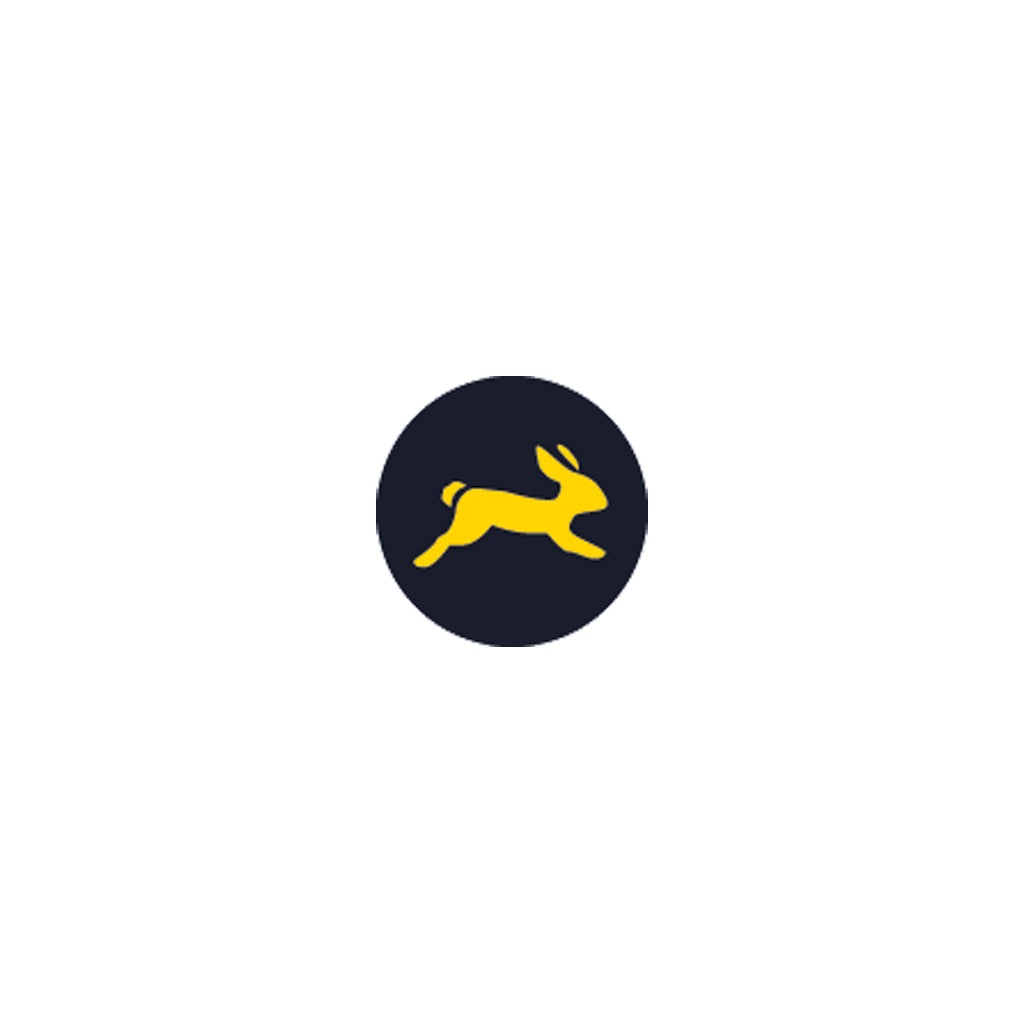 HSS Spiralbohrerset Sprint Master KP 25