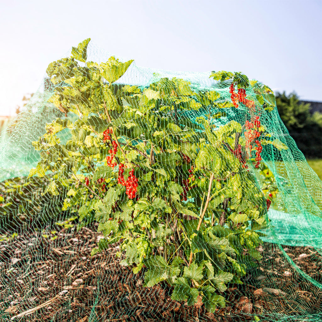 Bird protection net