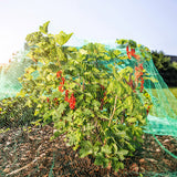 Bird protection net