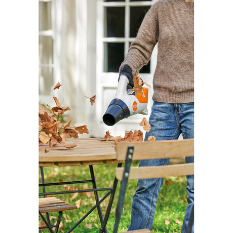 Stihl Akku-Blasgerät BGA 30 / mit 2 Akkus und Ladegerät